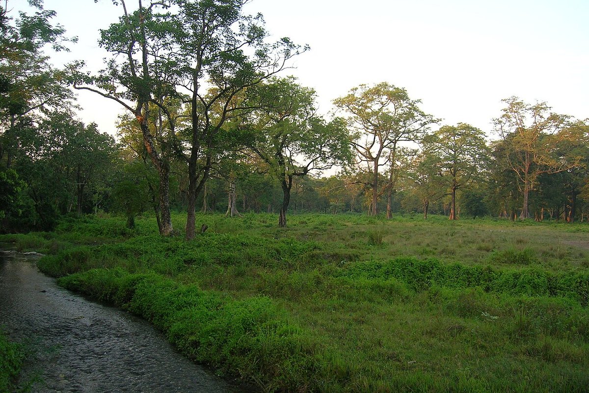 Alipurduar Travel Guide: Things to Do, How to Reach, Best Time to Visit travel guide