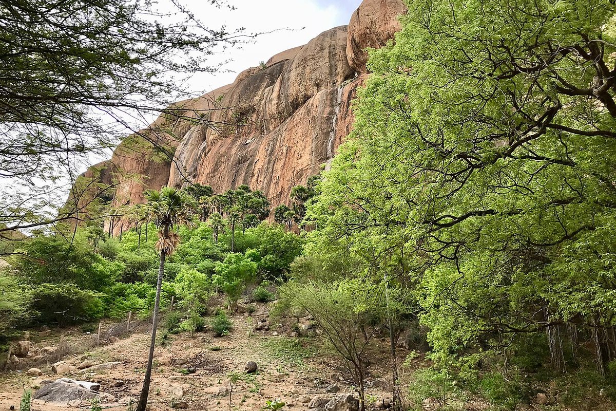 Avaniyapuram Travel Guide: Things to Do, How to Reach, Best Time to Visit hero image