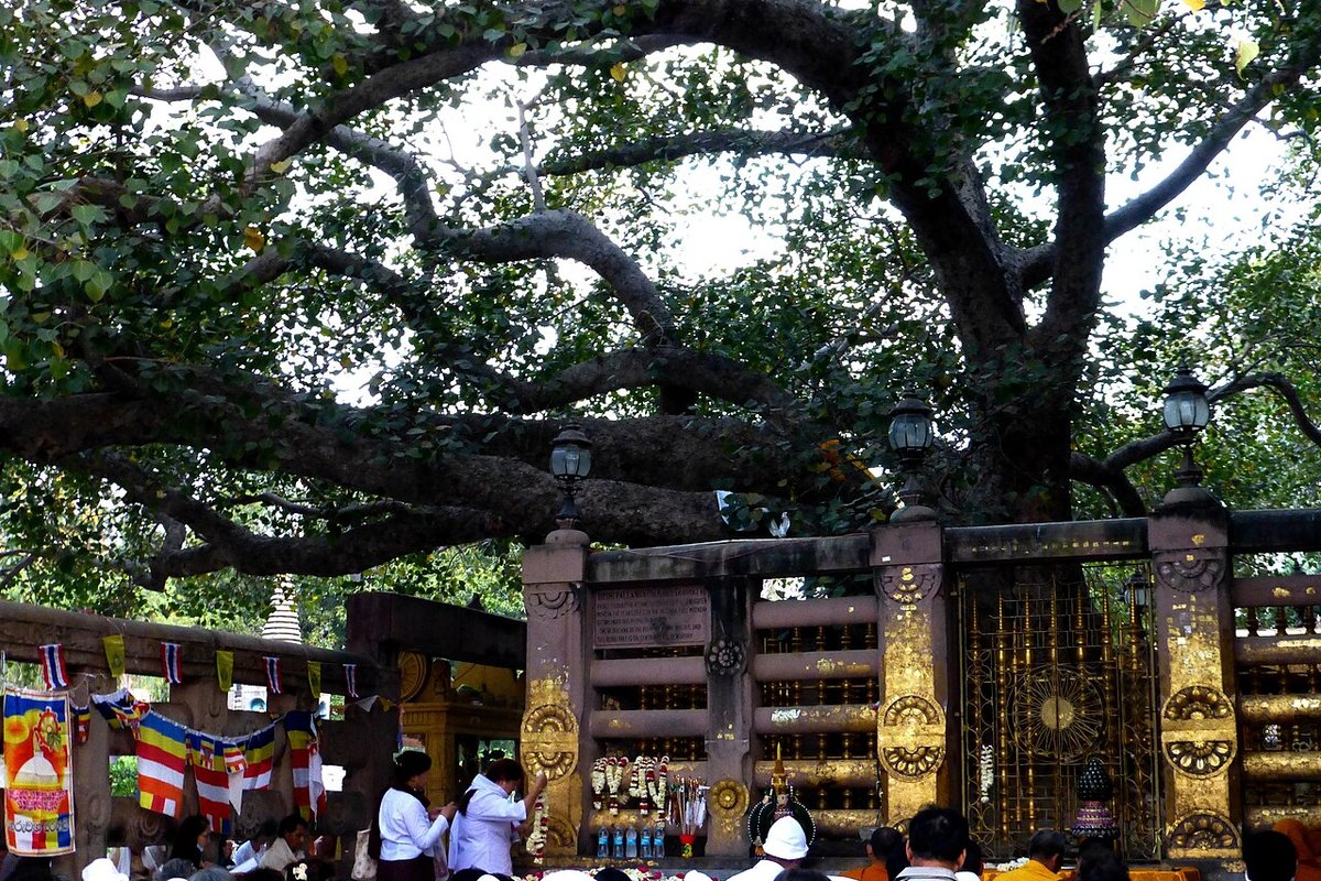 Bodh Gaya - India Travel Guide hero image