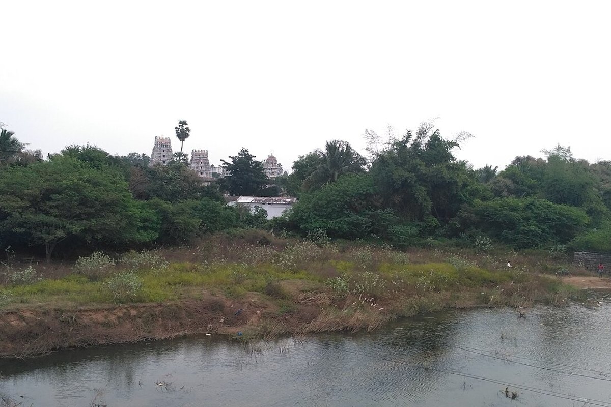 Cheyyar Travel Guide: Things to Do, How to Reach, Best Time to Visit travel guide