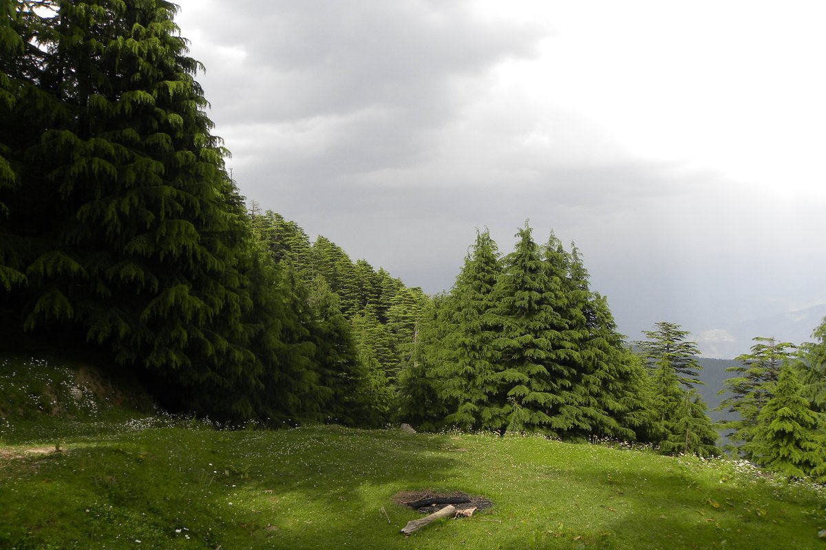 Dalhousie - India Travel Guide hero image