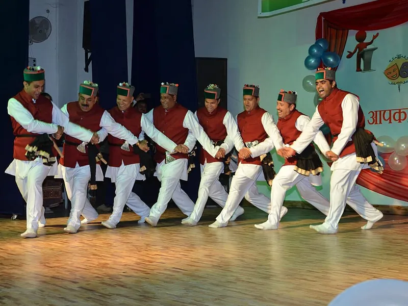 Chainsoo - Traditional Indian Dish