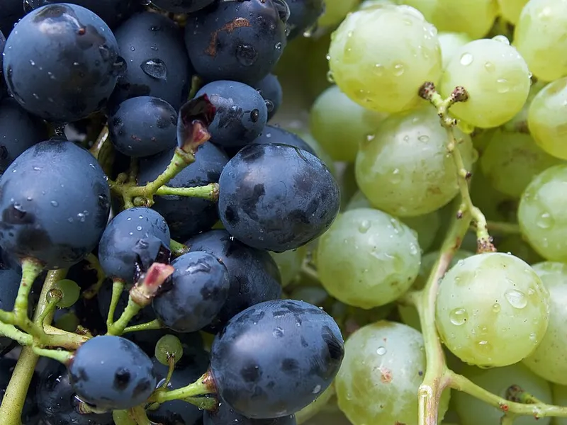 Grape Wine - Traditional Indian Dish