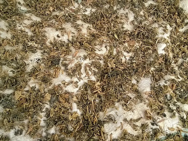 Gundruk - Traditional Indian Dish