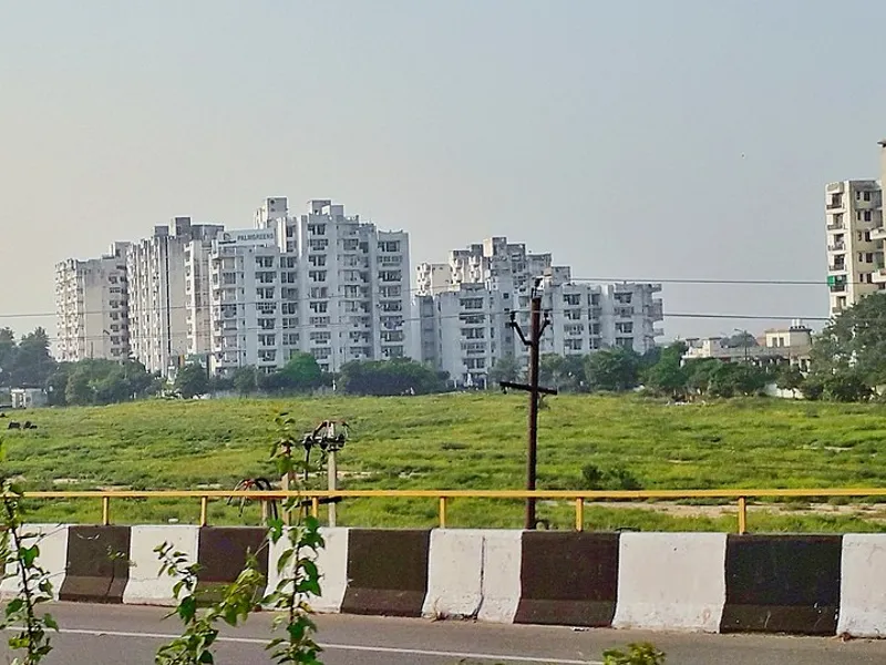 Muradabadi Biryani - Traditional Indian Dish