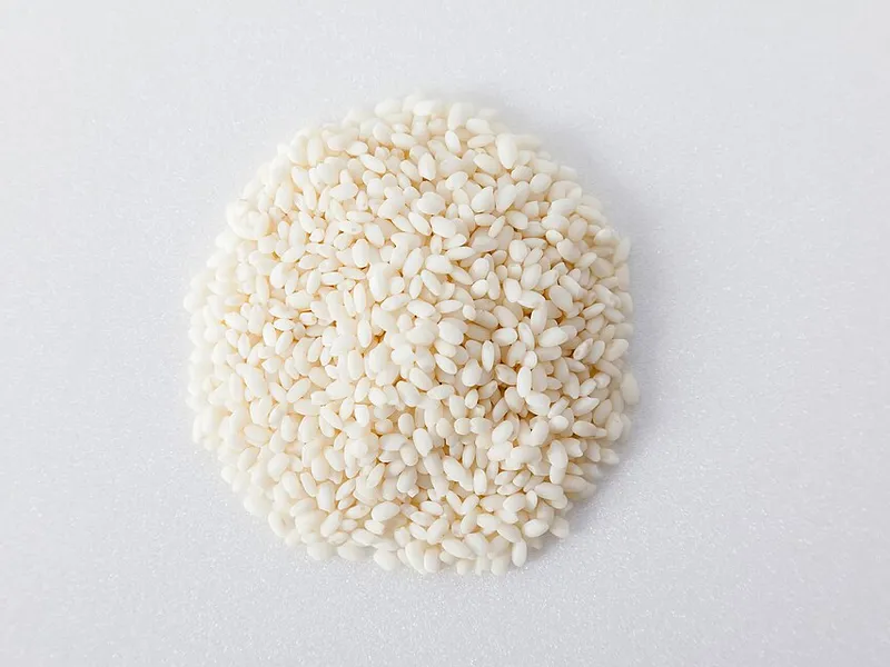 Sticky Rice with Pork