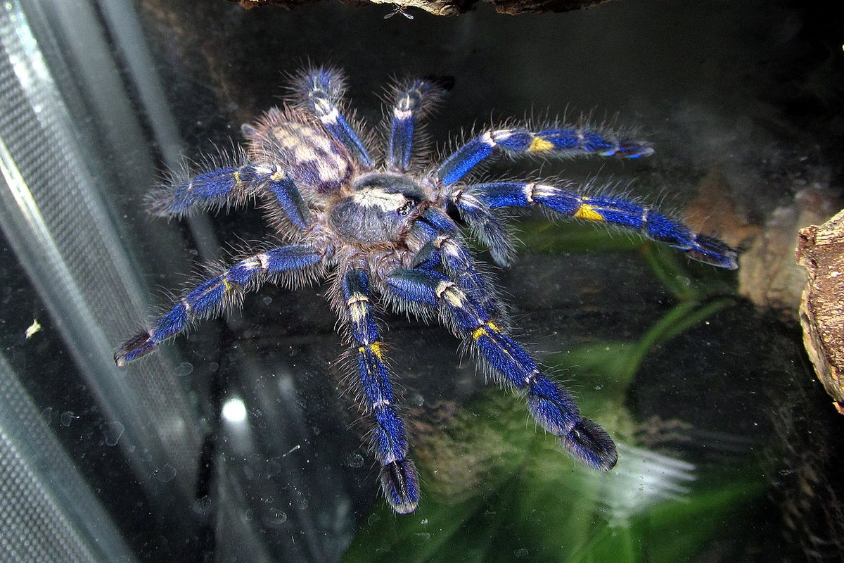 Gooty Travel Guide: Things to Do, How to Reach, Best Time to Visit hero image