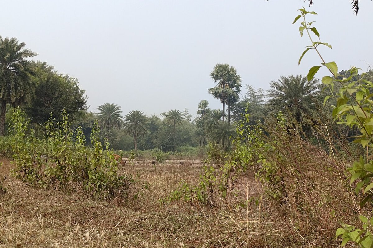 Gumla Travel Guide: Things to Do, How to Reach, Best Time to Visit travel guide