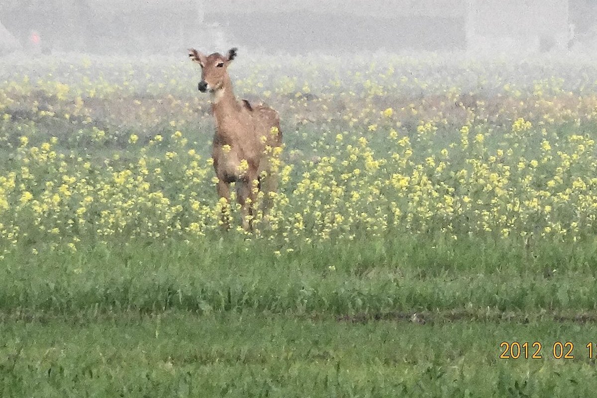 Hetampur Travel Guide: Things to Do, How to Reach, Best Time to Visit hero image