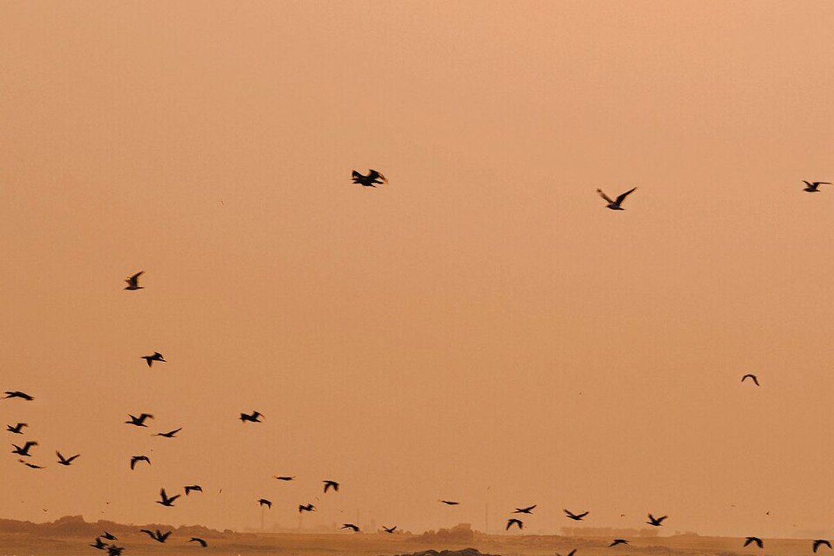 Hospet - India Travel Guide hero image