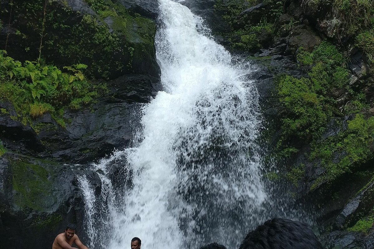 Iruppu Falls - India Travel Guide hero image