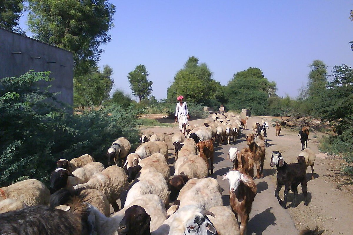 Jalore - India Travel Guide hero image