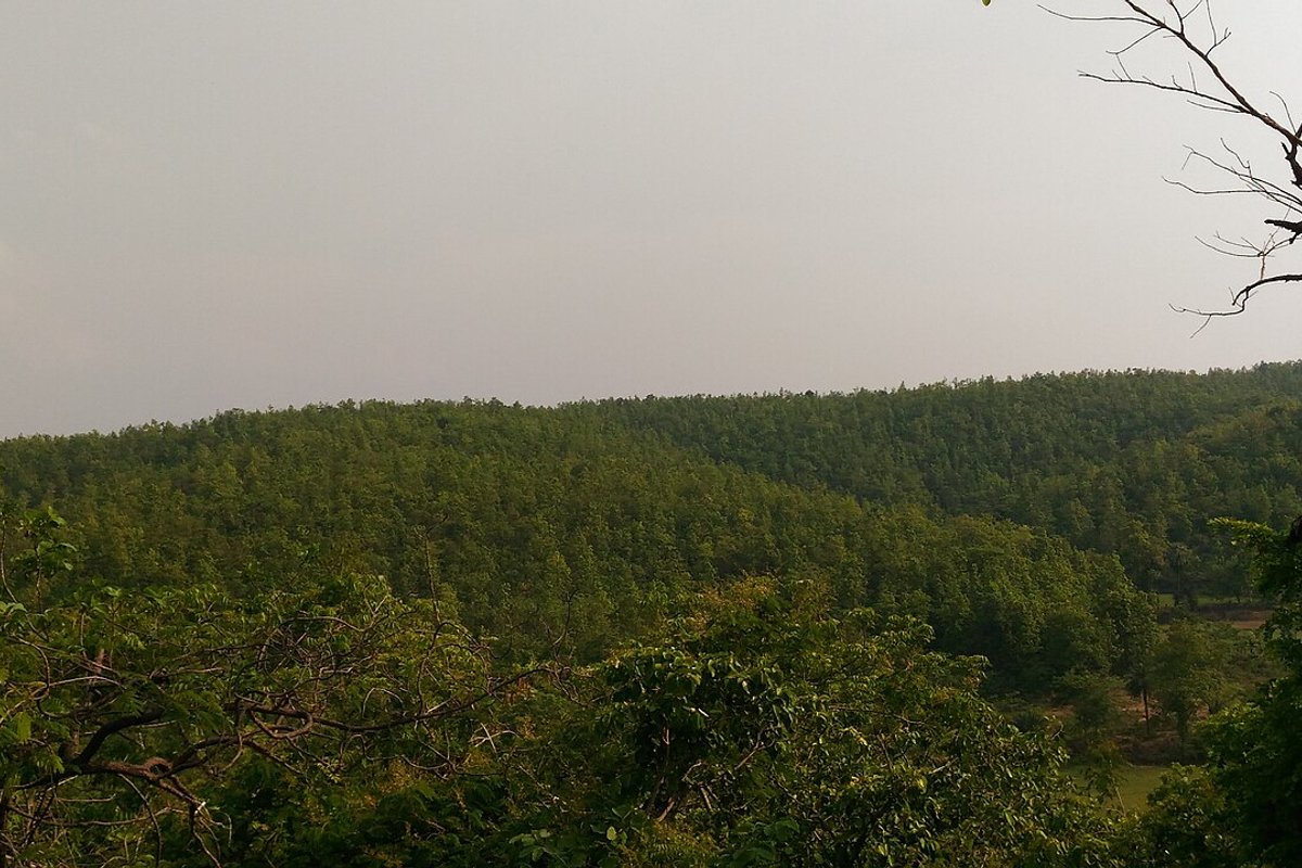 Jhargram Travel Guide: Things to Do, How to Reach, Best Time to Visit travel guide