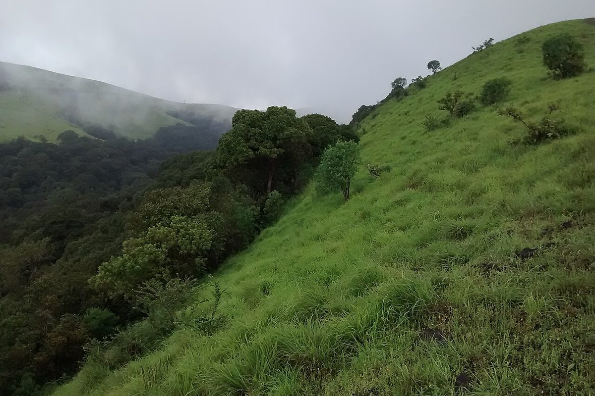 Kodachadri - India Travel Guide hero image