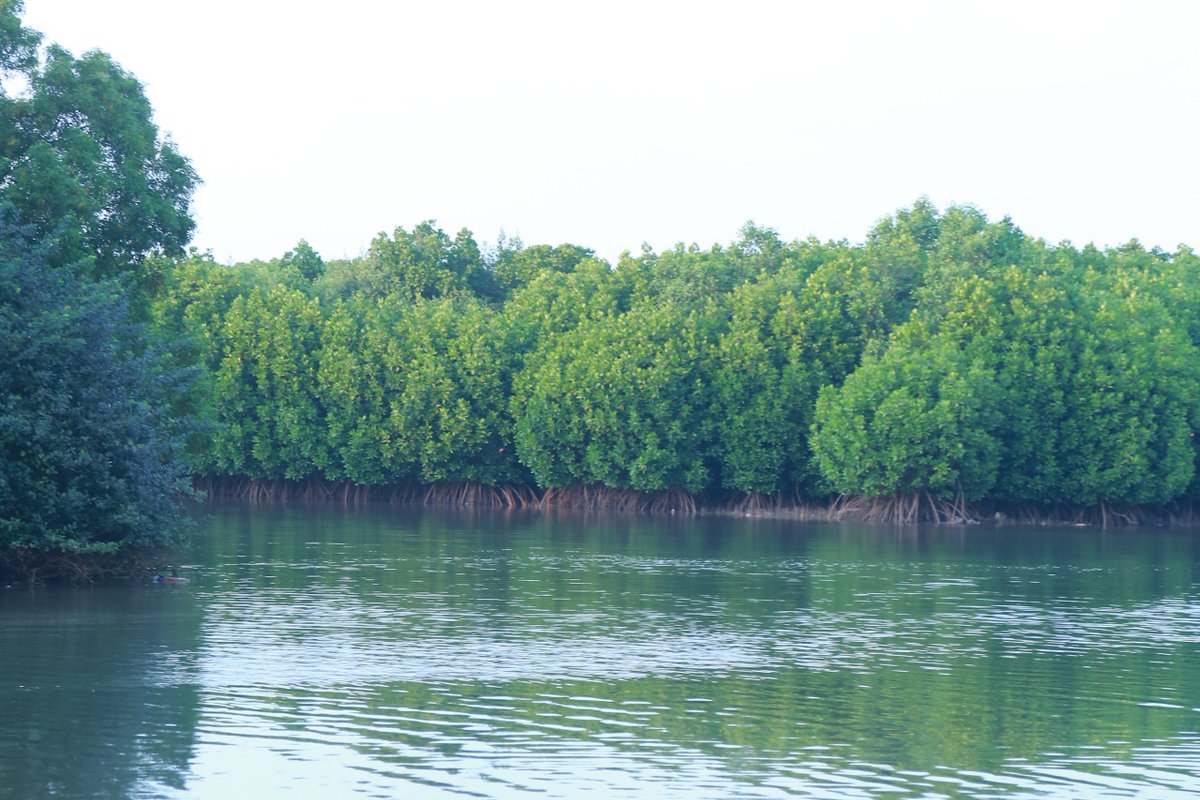 Kumbla - India Travel Guide hero image