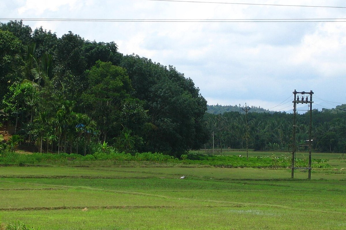 Mullankolly - India Travel Guide hero image