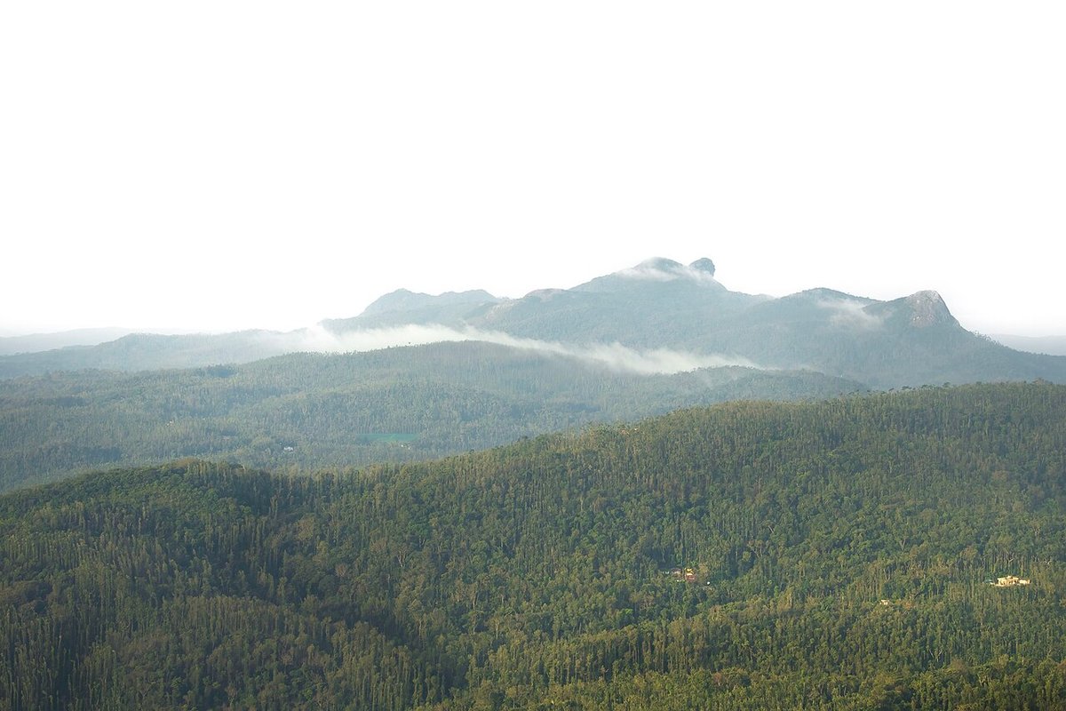 Mullayanagiri - India Travel Guide hero image