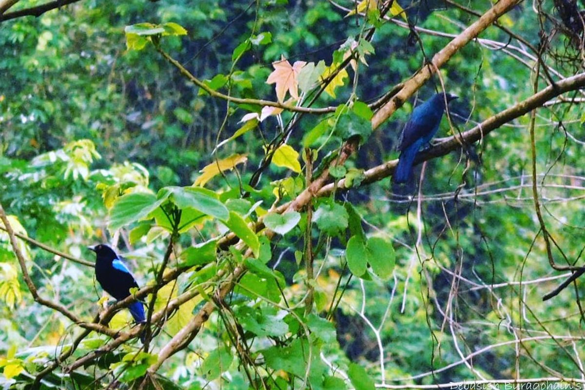 Nameri - India Travel Guide hero image