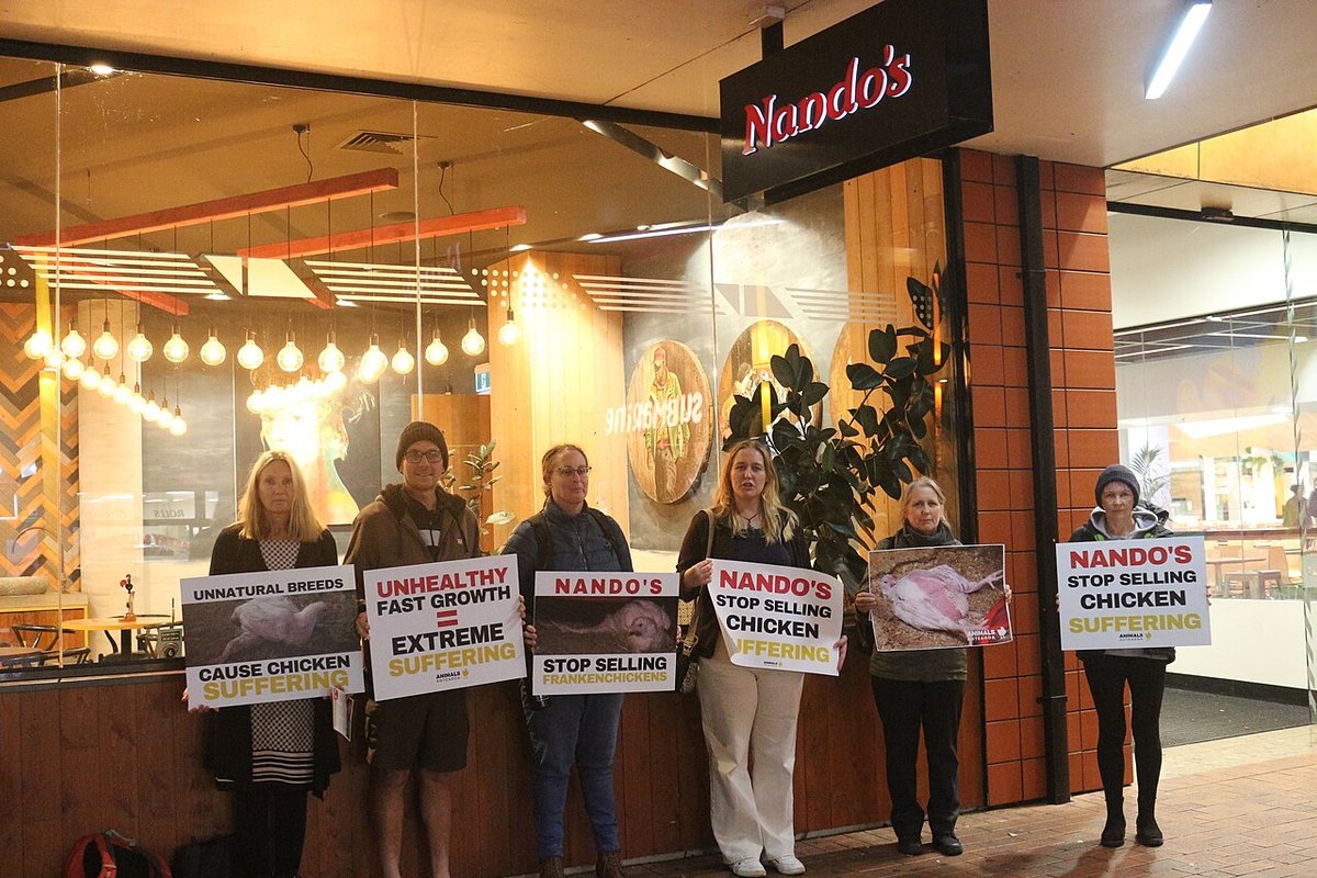 Nando Travel Guide: Things to Do, How to Reach, Best Time to Visit hero image