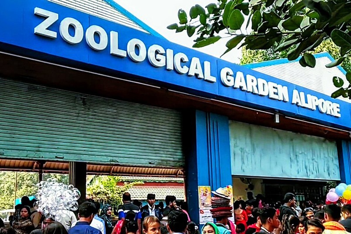 New Alipore Travel Guide: Things to Do, How to Reach, Best Time to Visit hero image