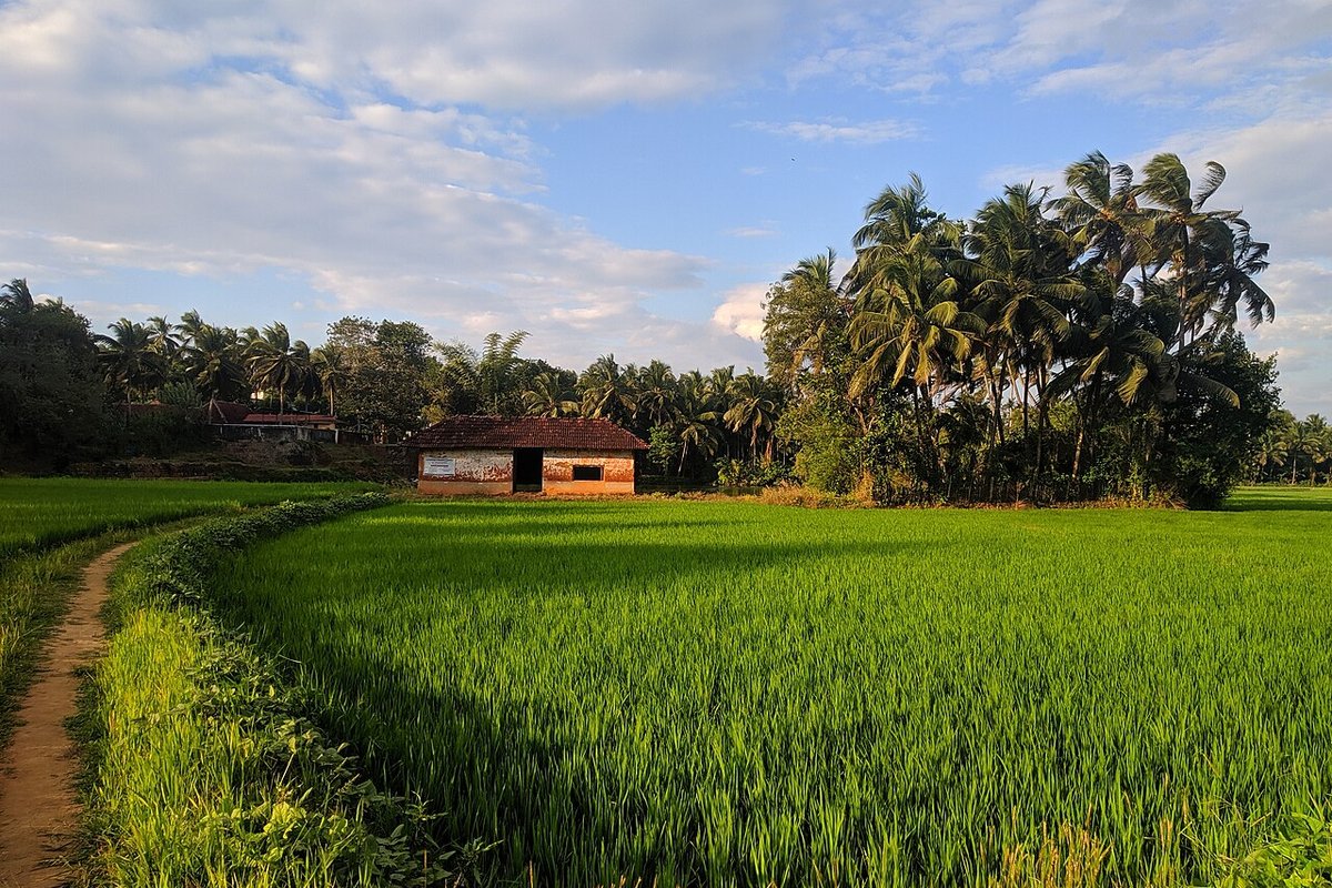 Ottapalam - India Travel Guide hero image