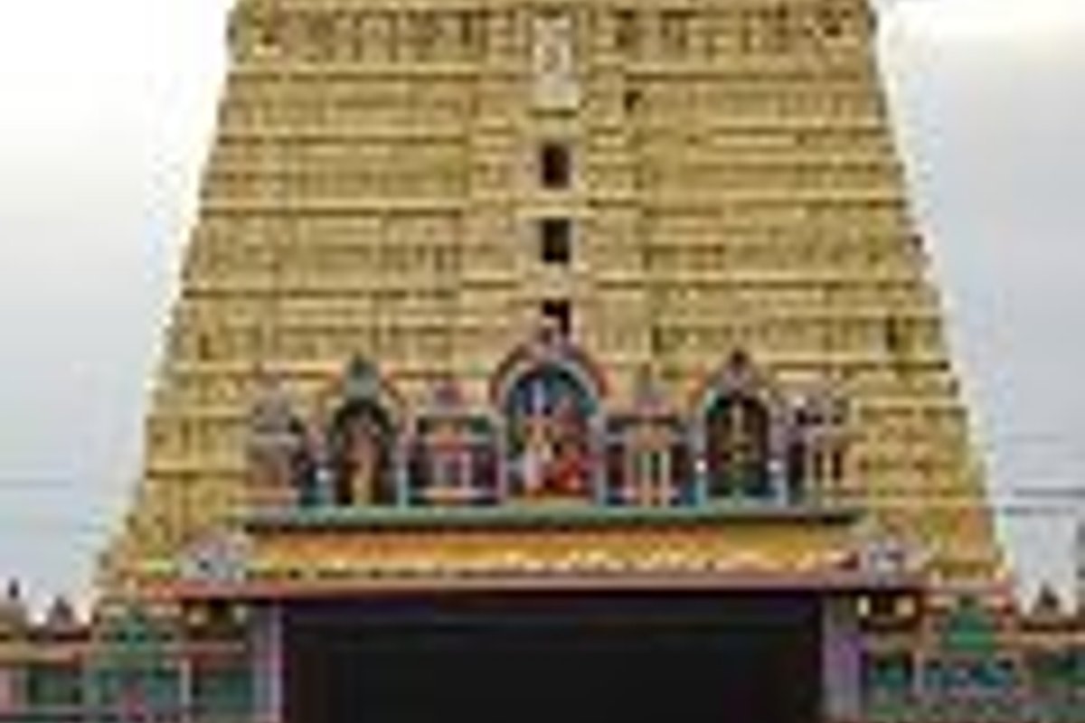 Sankarankovil Travel Guide: Things to Do, How to Reach, Best Time to Visit travel guide