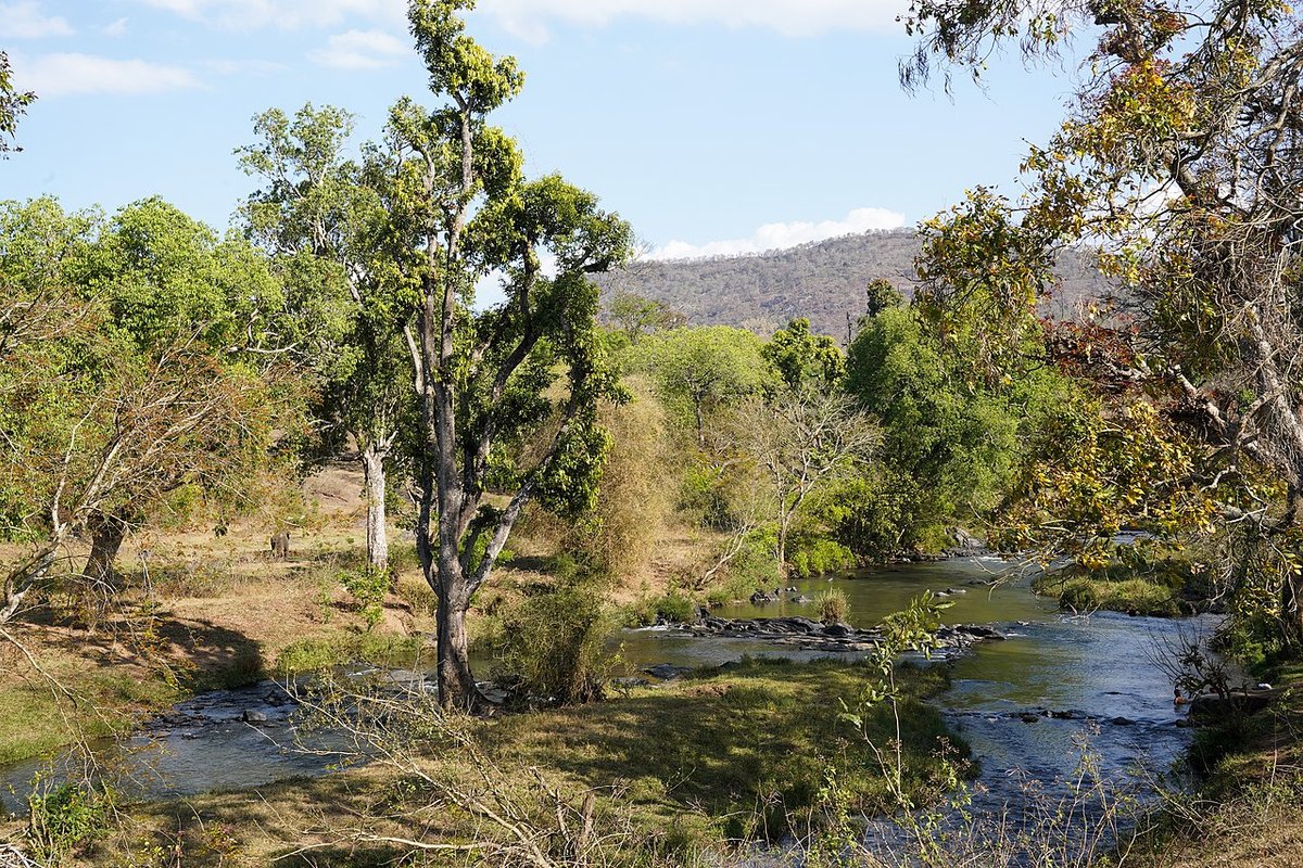 Theppakadu - India Travel Guide hero image