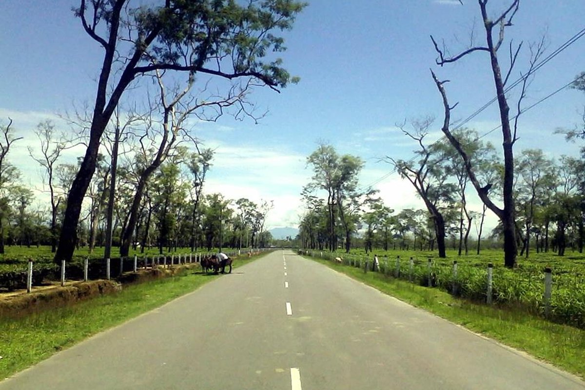 Tingkhong Travel Guide: Things to Do, How to Reach, Best Time to Visit travel guide